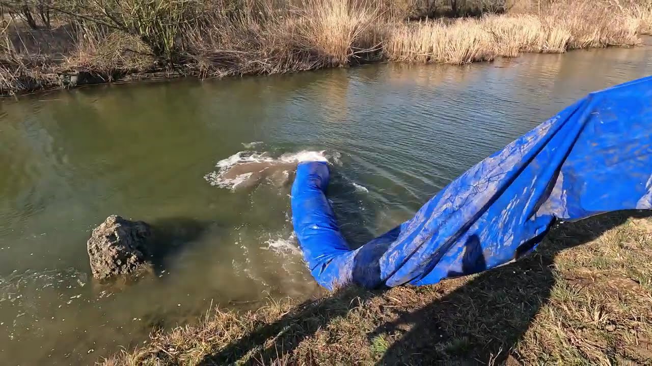 Ilyen a Haltelepítés! 🎣👀 Millér csatorna, Jászsági csatorna, J-III/2 csatorna!