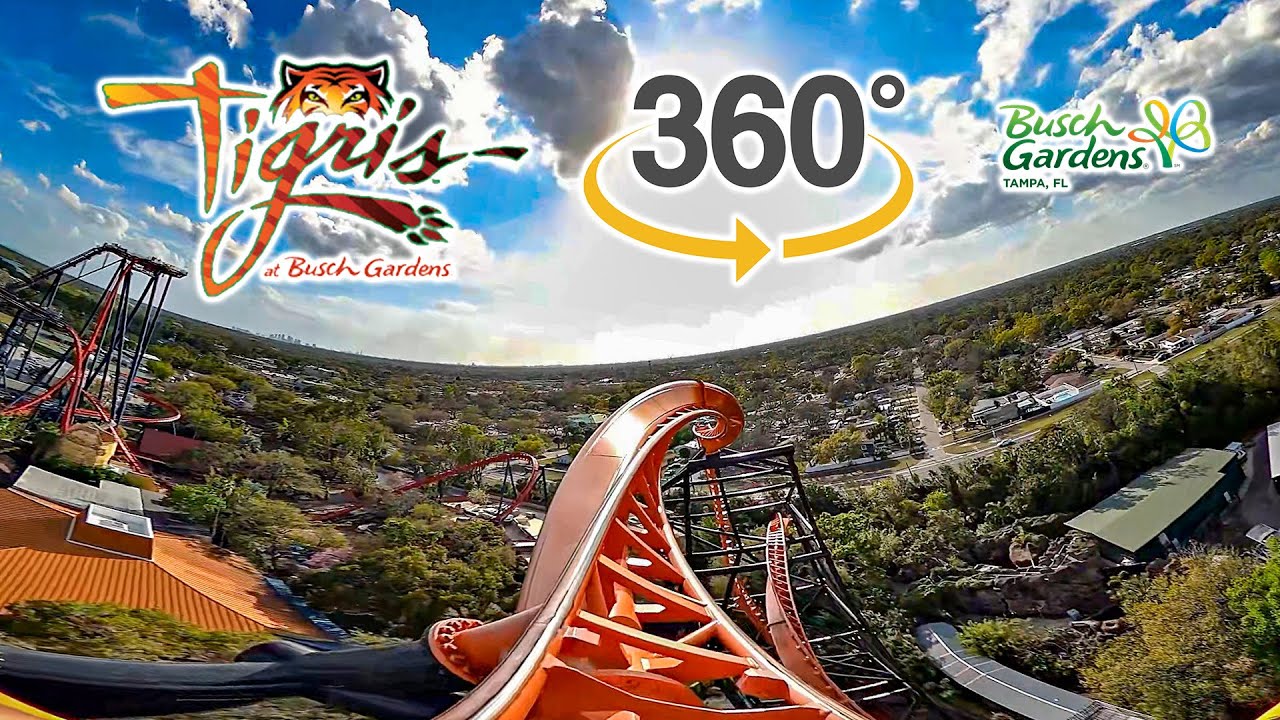 VR 360 Tigris Roller Coaster Front Seat On Ride POV Busch Gardens Tampa 2025 03 04