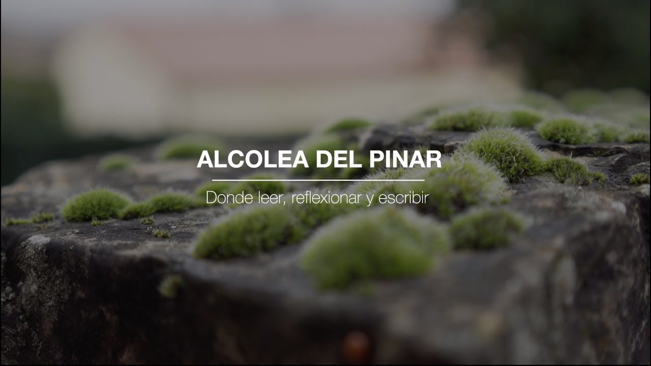ALCOLEA DEL PINAR. Donde leer, reflexionar y escribir.