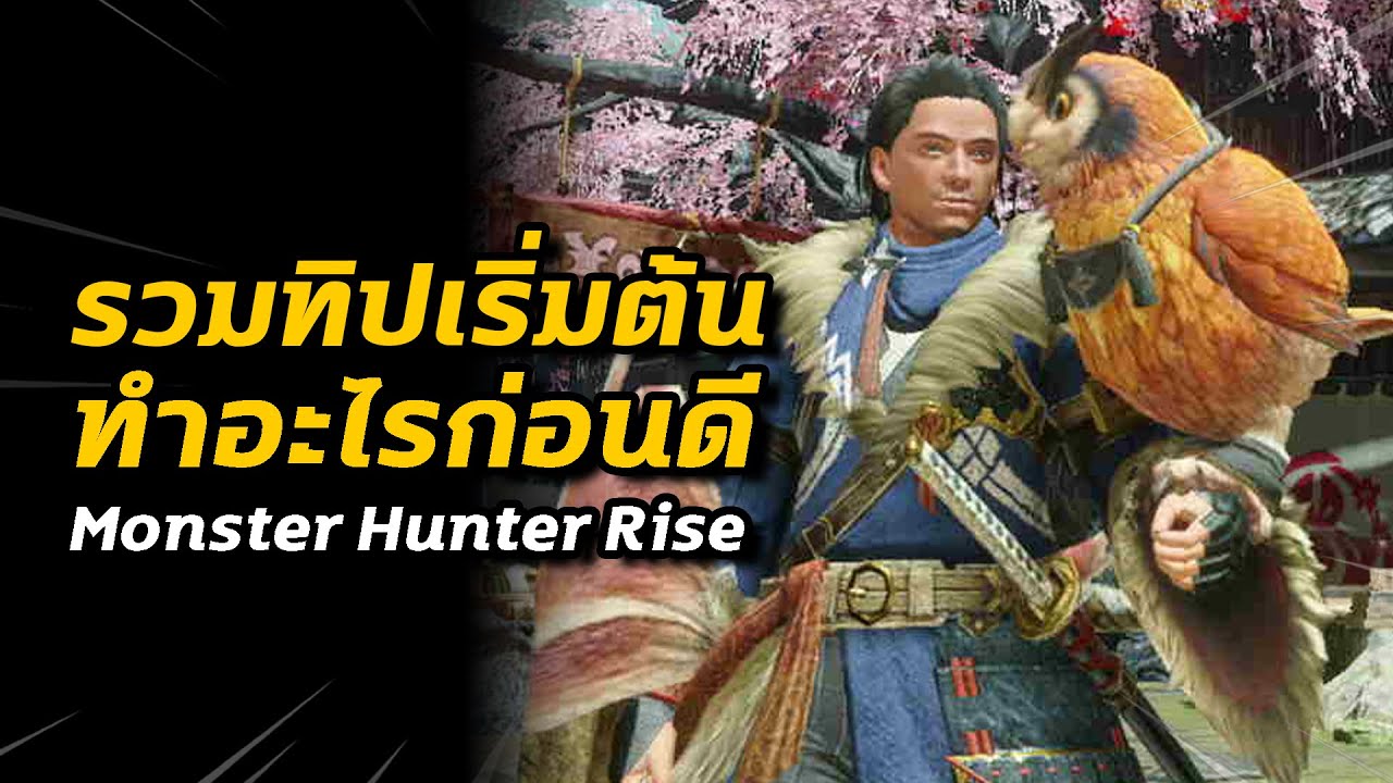 รวมทิปเริ่มต้น ทำอะไรก่อนดี | Monster Hunter Rise