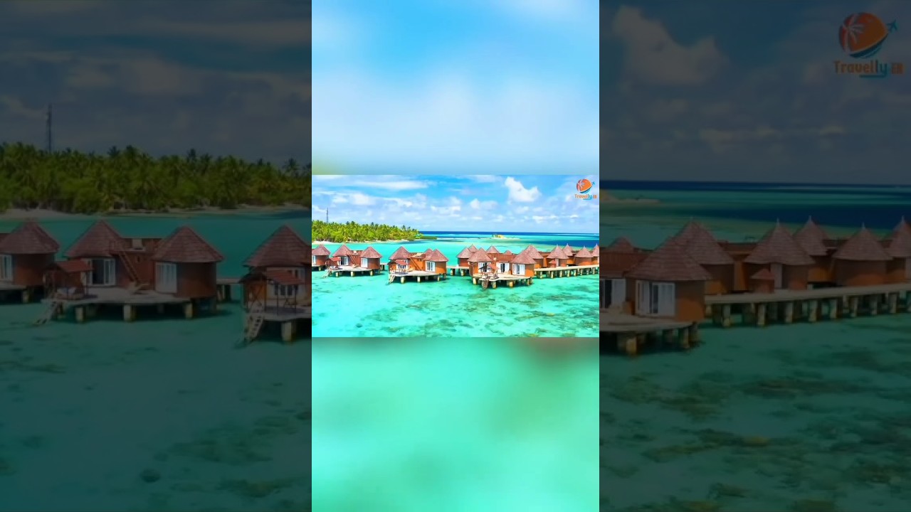 Maldives: Stunning View 4k Travel video #maldivesparadise #maldivesisland #vacay #palmisland