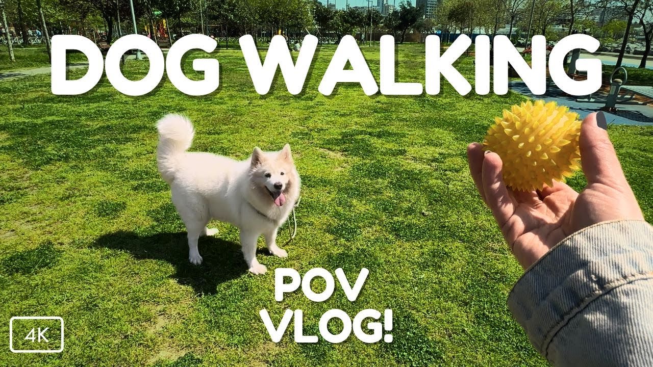 A Relaxing Stroll with My Dog in the Park: POV Dog Walking Vlog [4K]