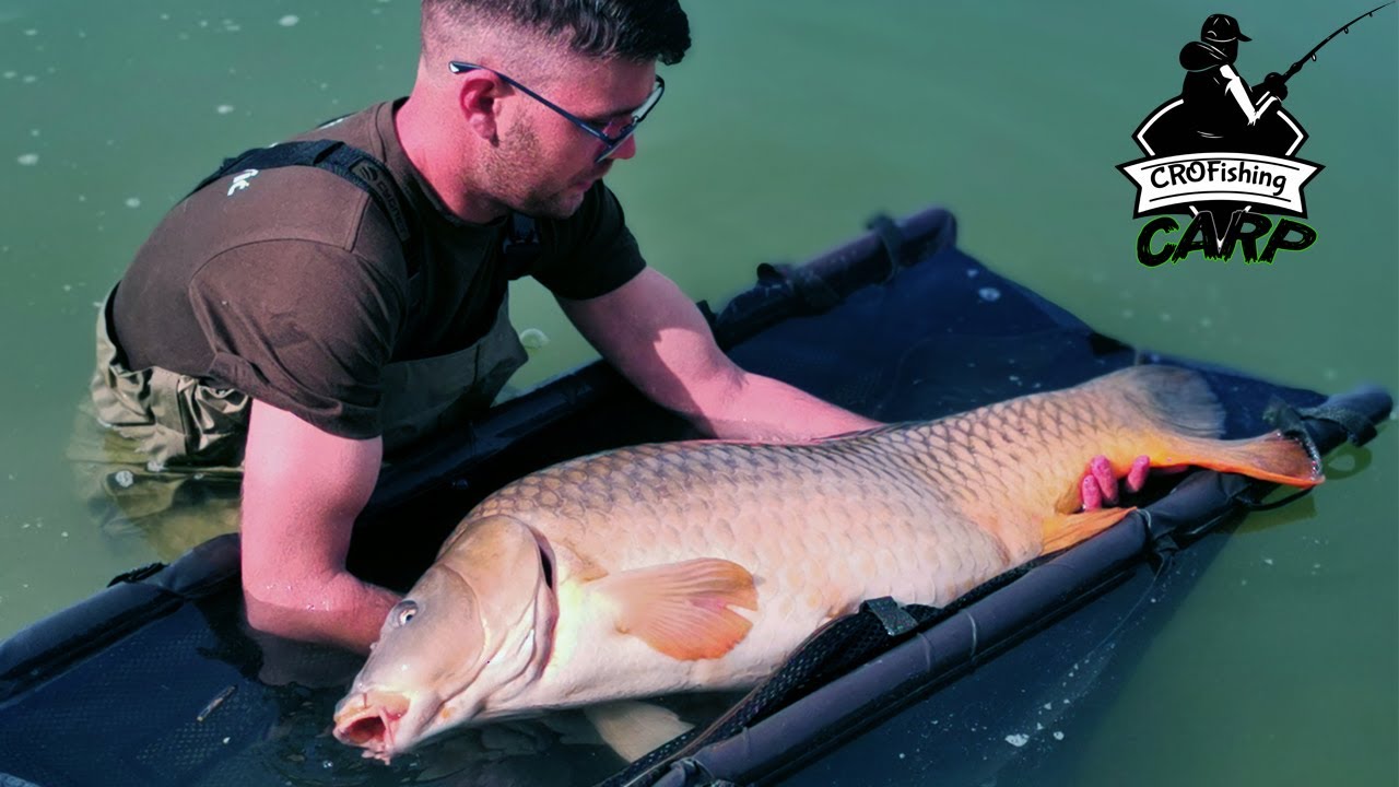 Lake Finzula 20&18kg carp (almost 😅) | Jezero Finzula 20&18 kg šaran (skoro 😅)