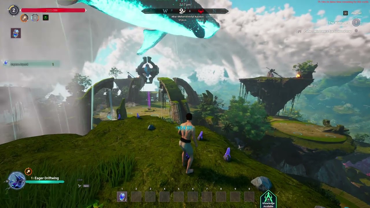 Guardian Of The Wild Sky Demo Gameplay 2