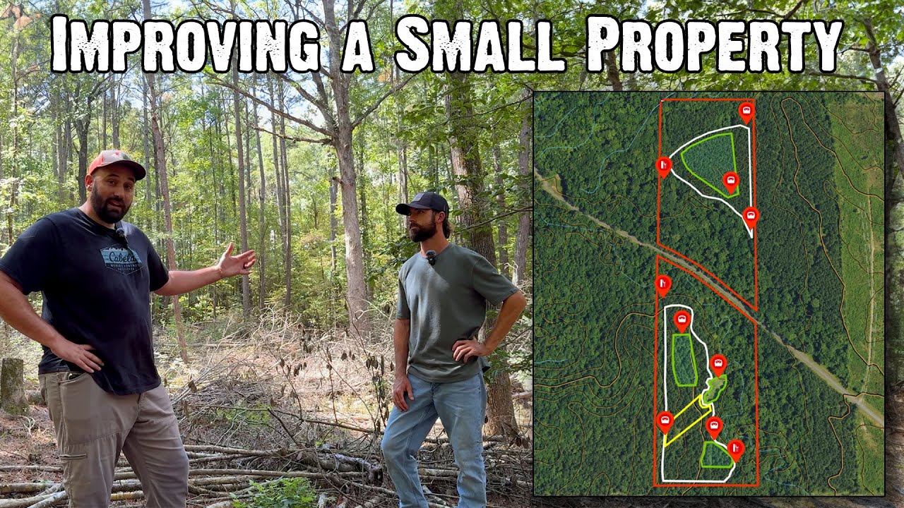 Developing a Habitat Improvement Plan in Northern Louisiana