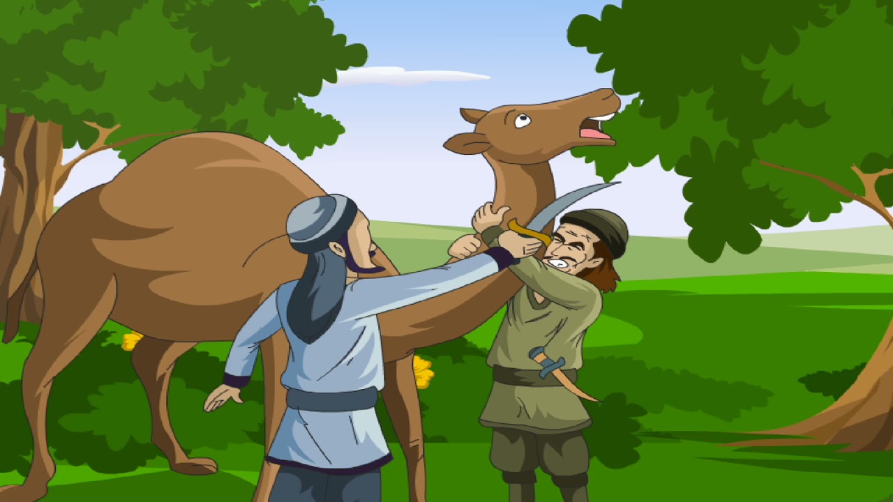 قصة سيدنا صالح وقوم ثمود