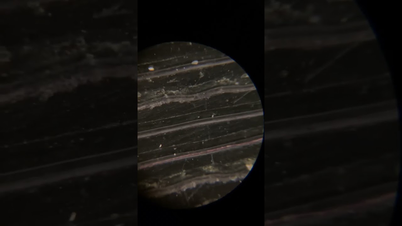 Shellac record under a microscope #shorts