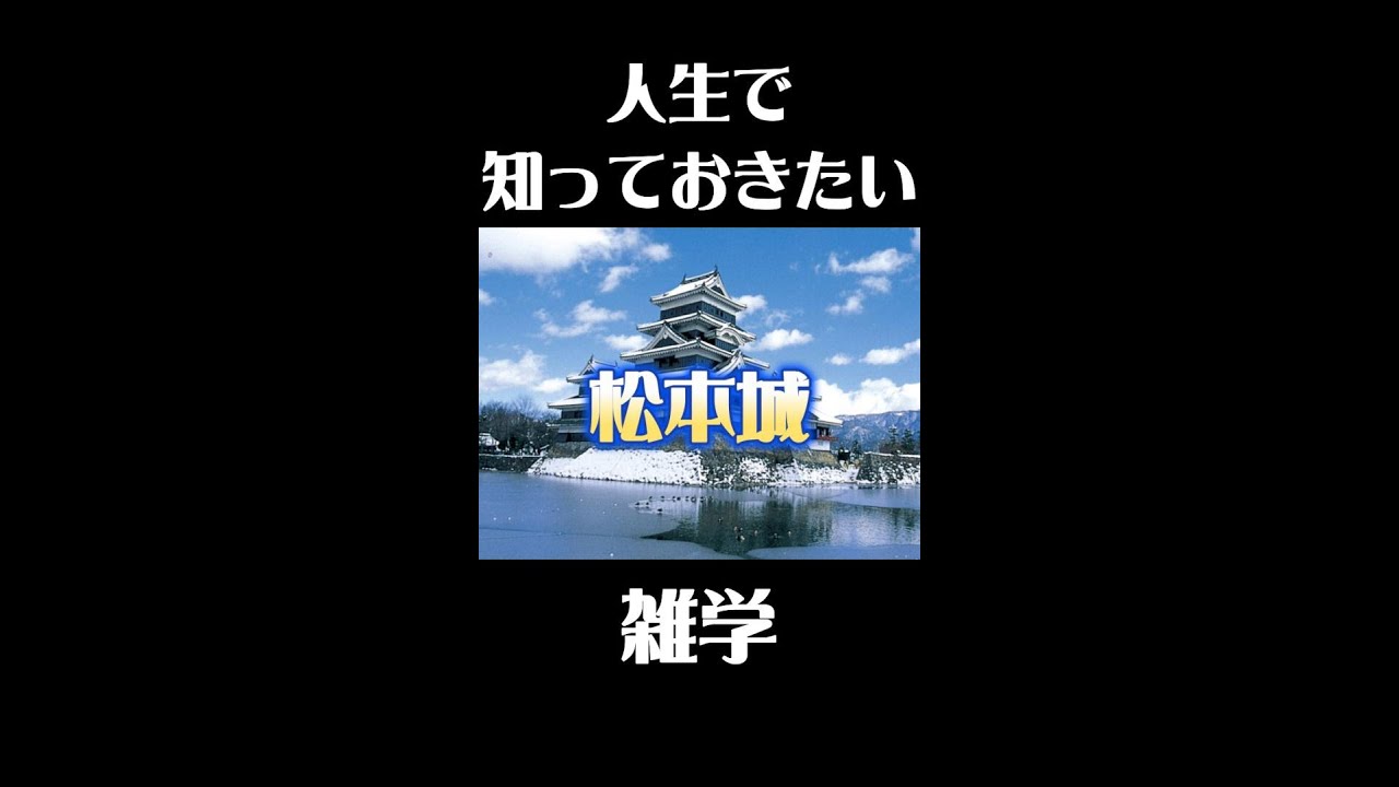 松本城の意外な雑学#歴史 #観光 #雑学 #旅行#城