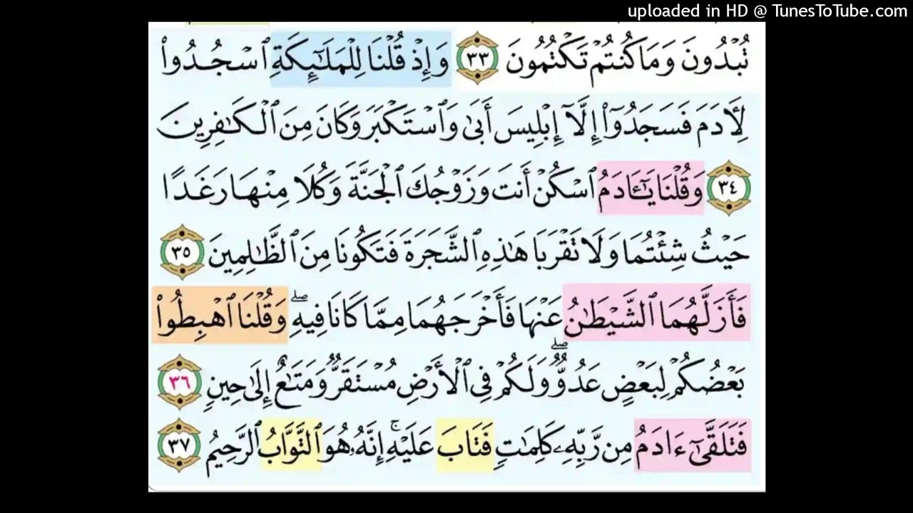 002-010   تدبر وحفظ آيات من سورة البقرة  عن لما عصي آدم فتاب الله عليه وتكبر إبليس فكفر
