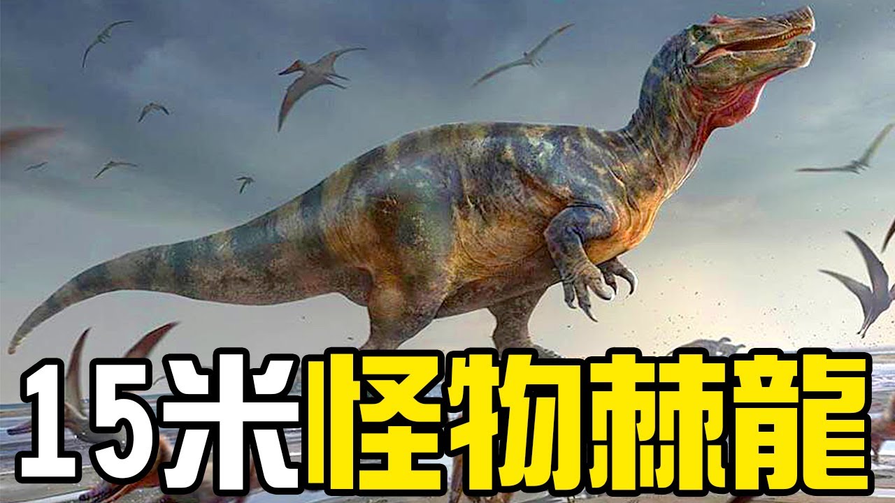 全新發現！歐洲的棘龍科王者是個超大號怪物？人類的中耳居然是從魚類的噴水孔演化來的？丨朝化析拾05丨黑毛羊駝