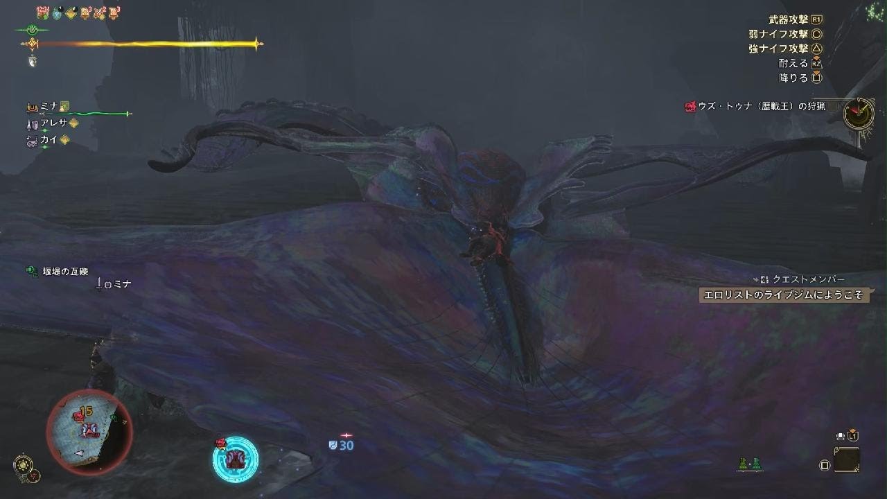 Monster Hunter Wilds　ウズトゥナ★10