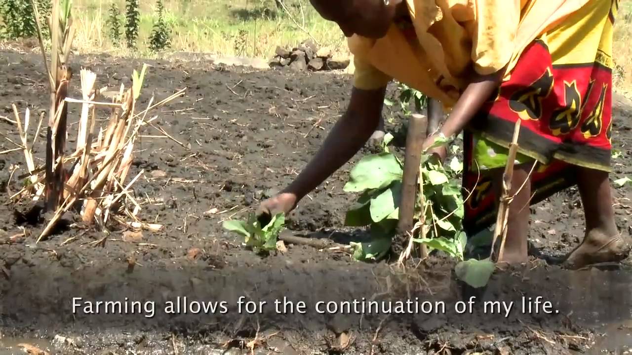 Accelerating progress on the Millennium Development Goals