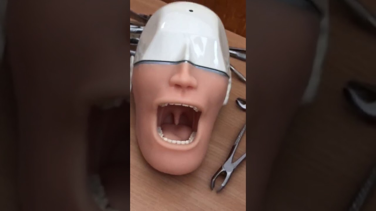 Удаление зубов . Как выбрать инструмент для удаления зуба ?
