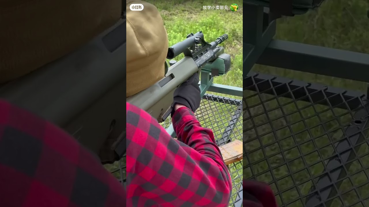 STG 556 Microtech Small Arms research......