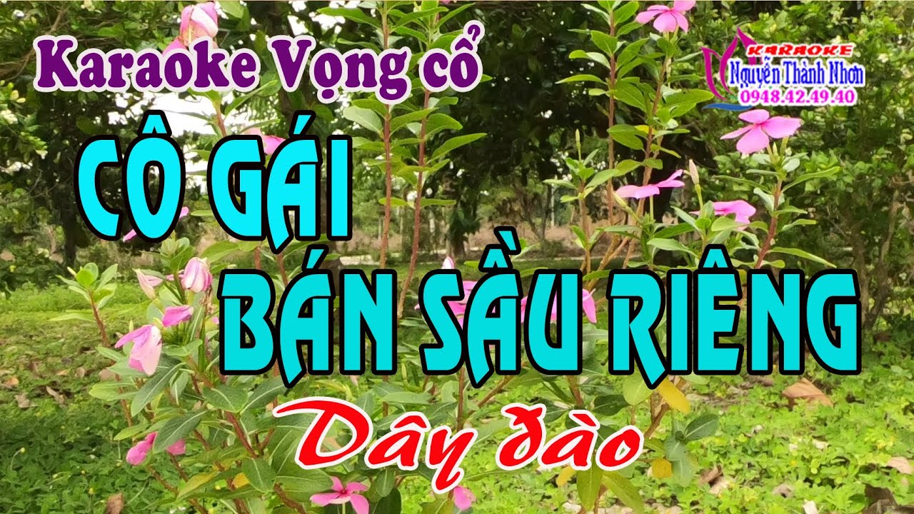 Karaoke tân cổ CÔ GÁI BÁN SẦU RIÊNG [ Ns Lệ Thuỷ]