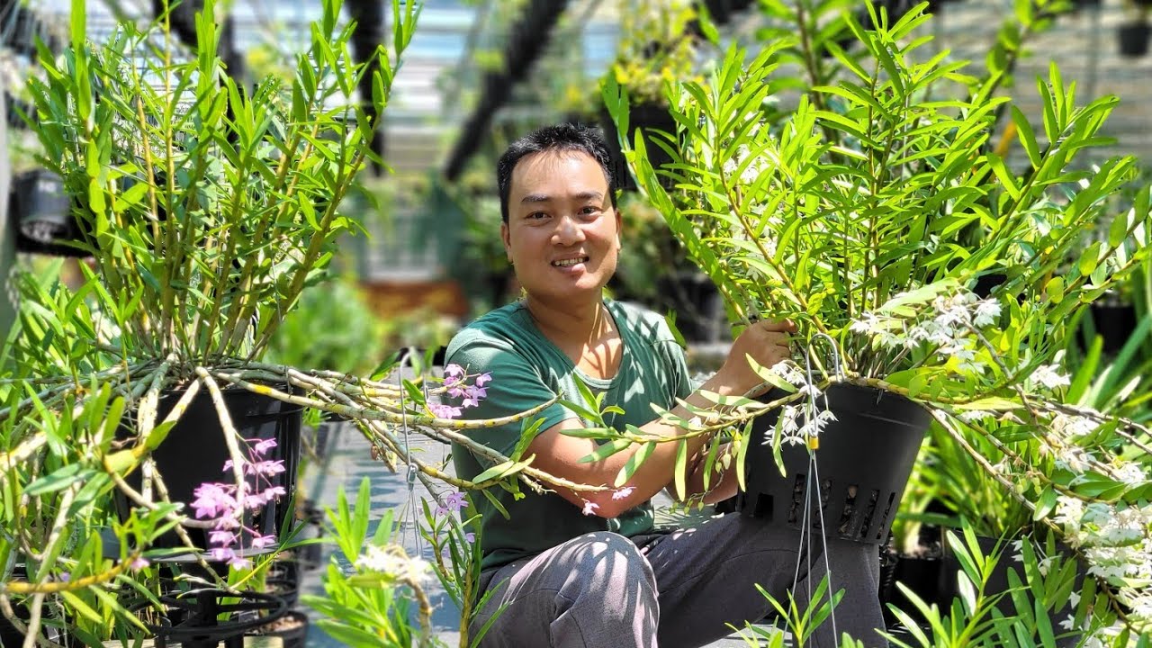 KHÔN NGOAN KHÔNG LẠI VỚI TRỜI. Trời thương thì trời cho. Chăm chỉ nỗ lực không ăn thua.