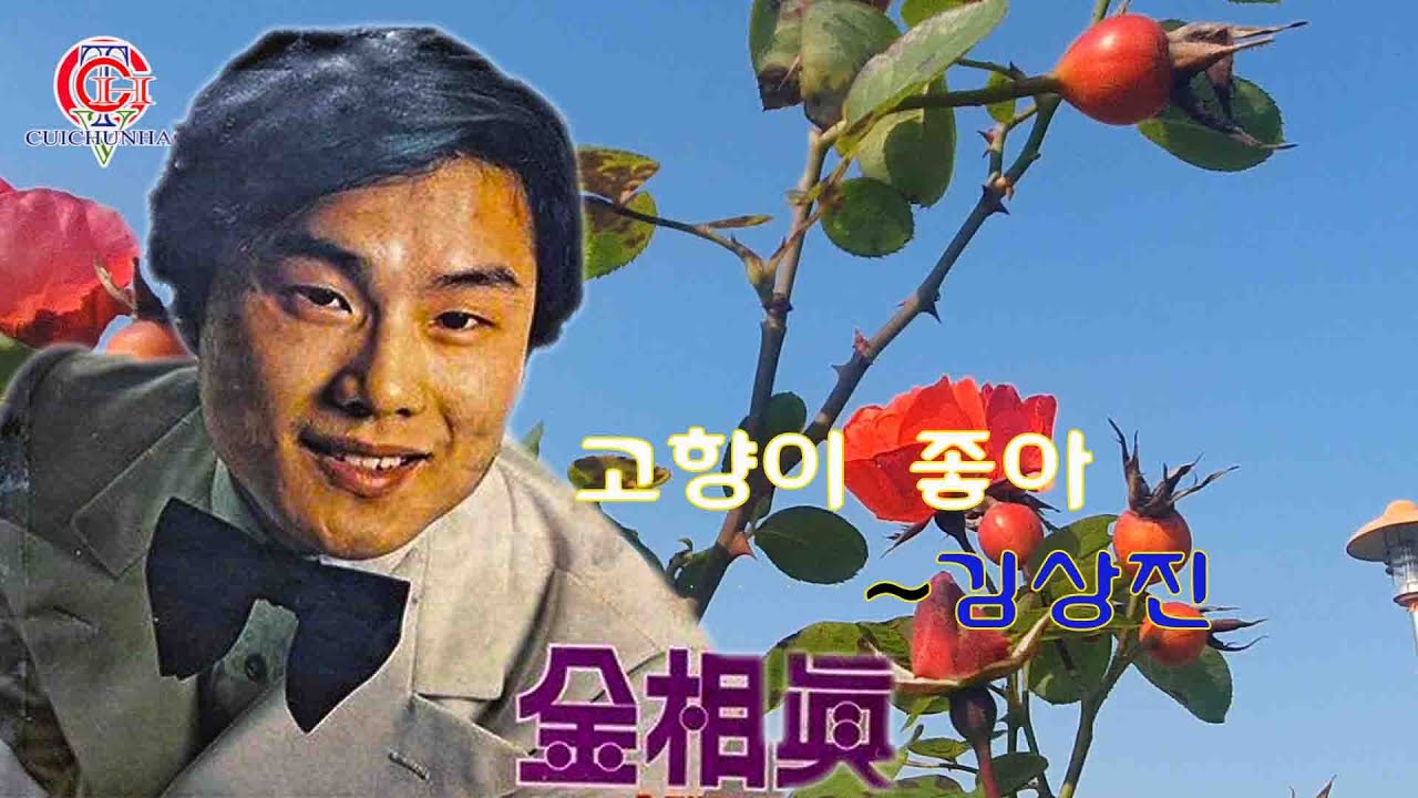 고향이 좋아~김상진(가사포함)