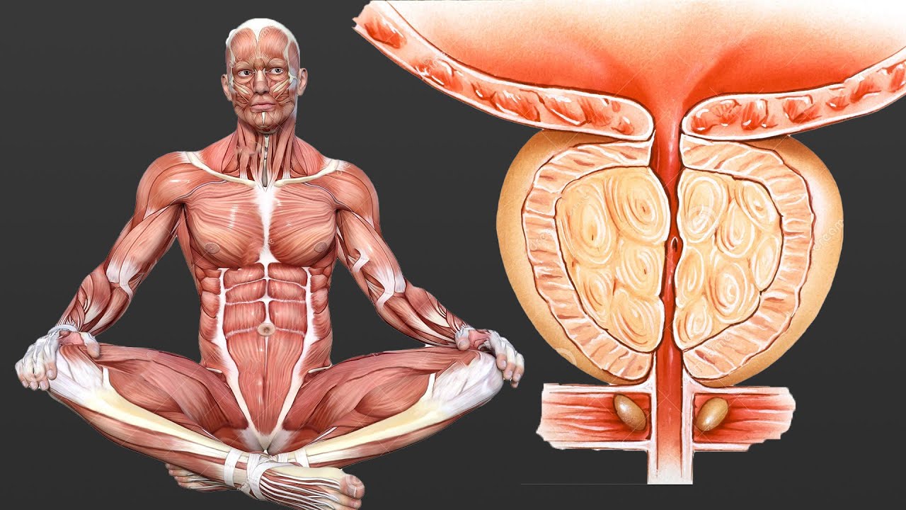 Varicocele exercise for men