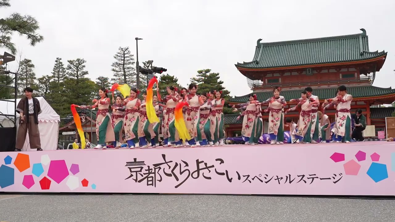 夜さり華-yosaribana-　第21回京都さくらよさこい　2025年4月5日　神宮道スペシャルステージ
