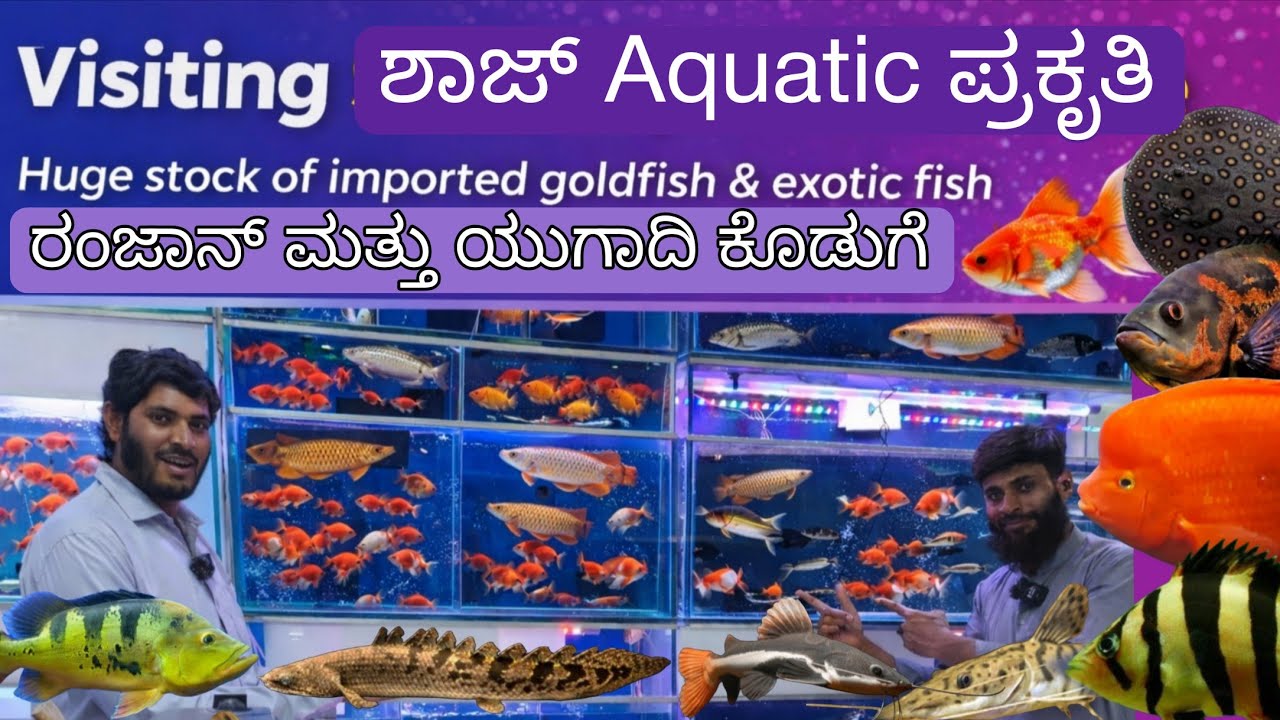 Shaz aquatic nature Bellandur Bangalore 