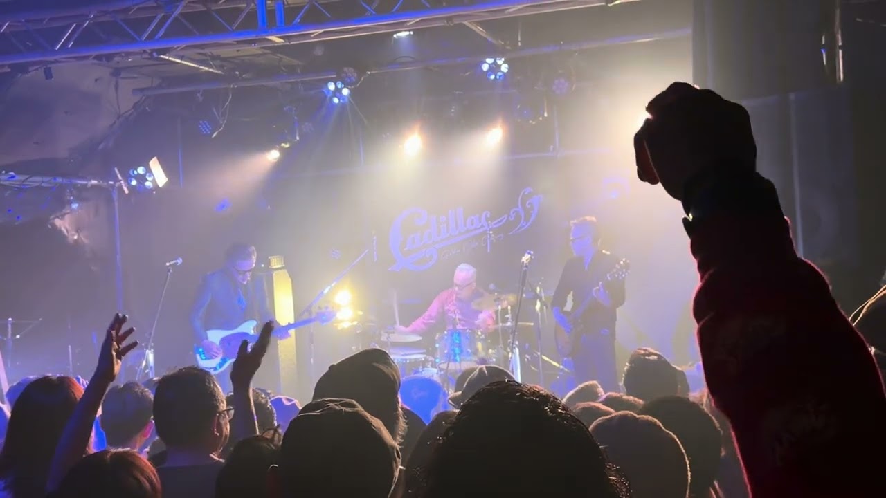 cadillac 40周年記念ファーストライブ　in豊橋club KNOT オープニングアクト　HAVANA   MOON