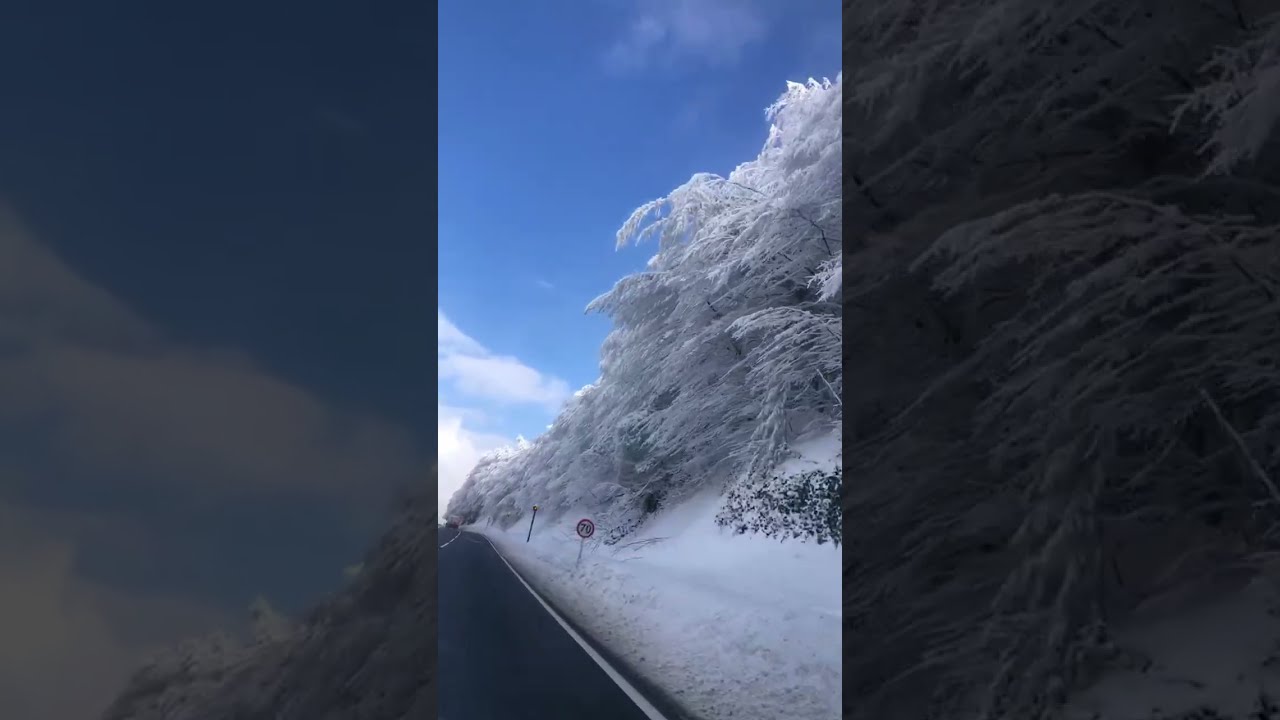 Snowy Road Trip Live 🚗❄️ | Driving Through Winter Wonderland
