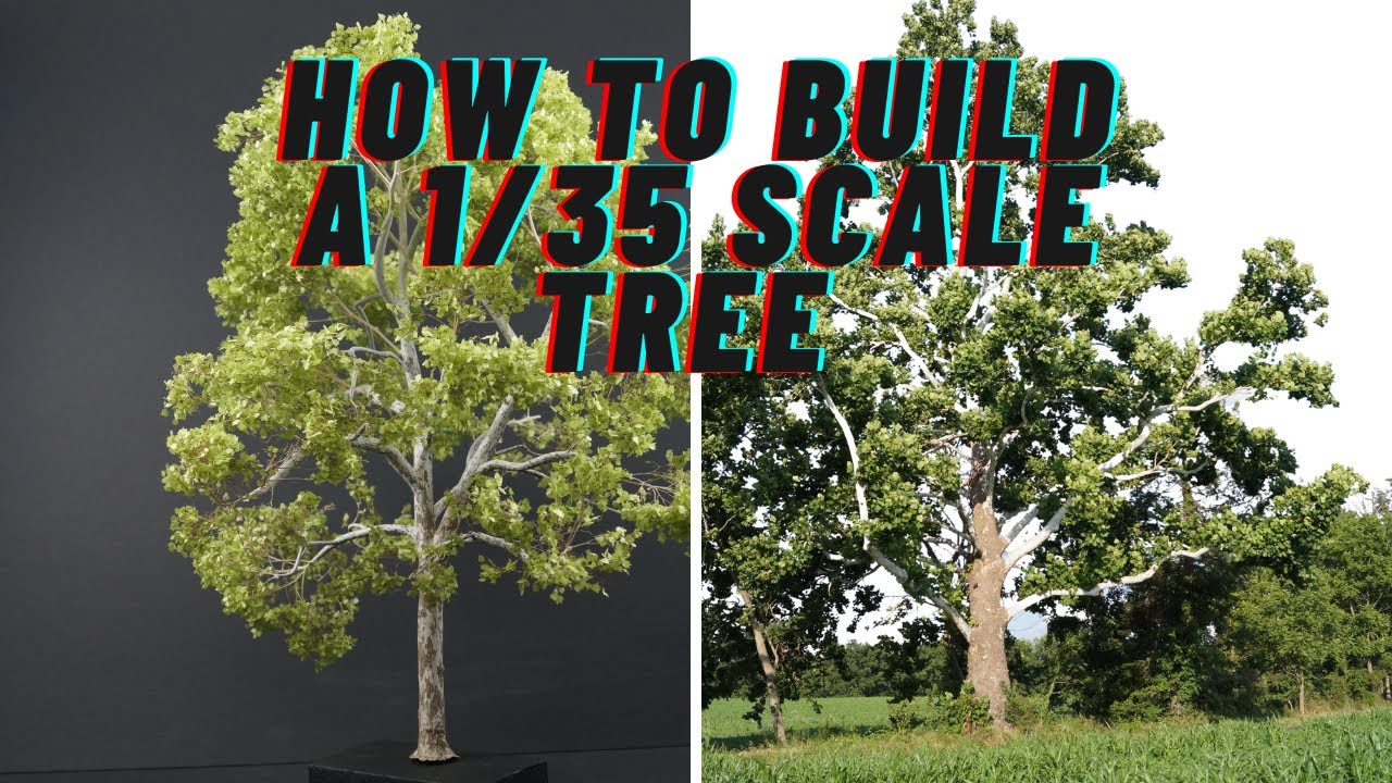 Replicating a sycamore TREE in 1/35 scale