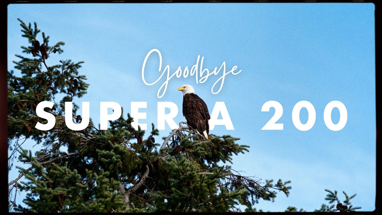Мои последние рулоны Fujifilm Superia 200
