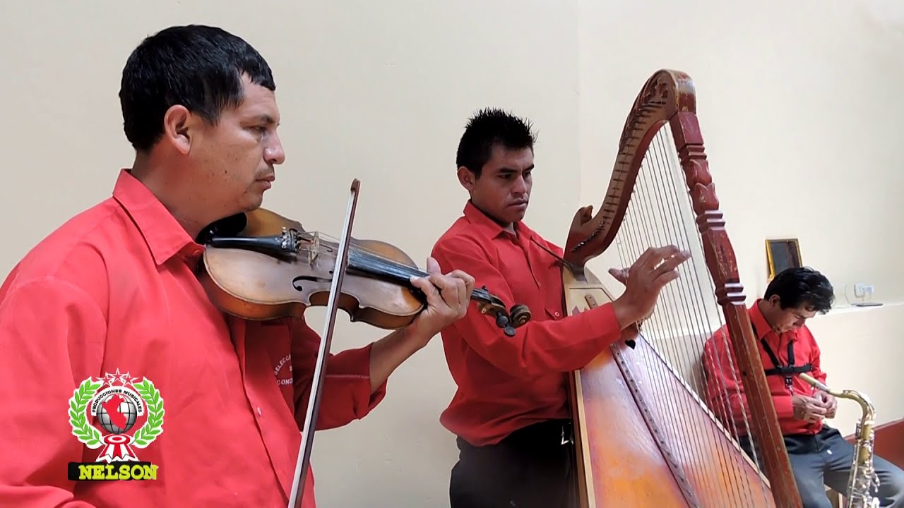 03 - HUAYNOS DEL RECUERDO [ VIOLIN Y ARPA ] NELSON PRODUCCIONES CEL: 943782005 / 934576258