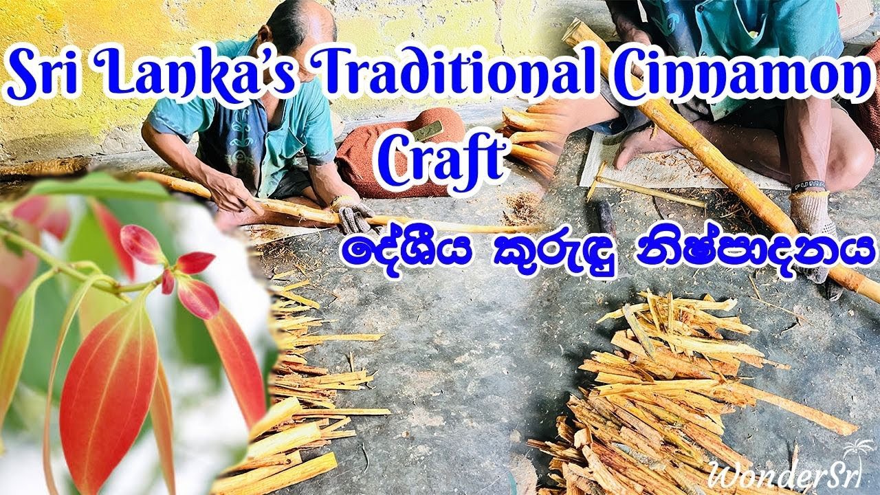Sri Lanka’s Traditional Cinnamon Craft | දේශීය කුරුඳු නිෂ්පාදනය 🌿 #srilanka #cinnamon #nature