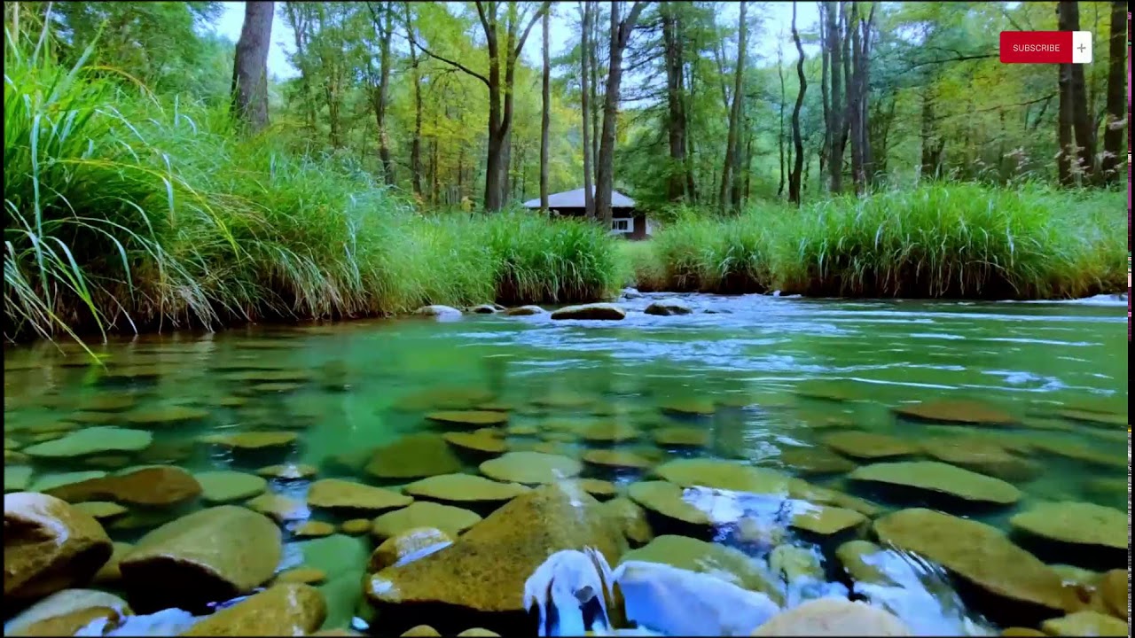 Anxiety Relief Spa Music — Gentle Piano & Flowing River Calm | 10 Hours