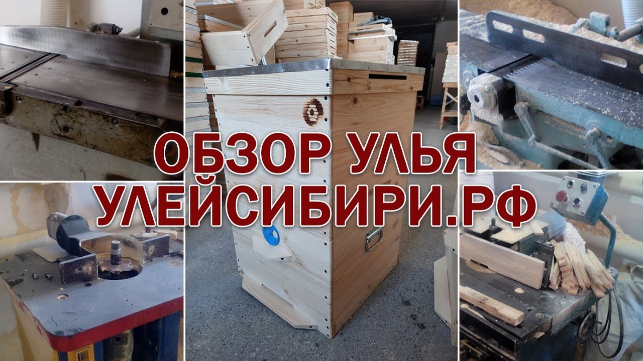 Обзор улья от улейсибири.рф, Пасека Старчевских, Сибирь