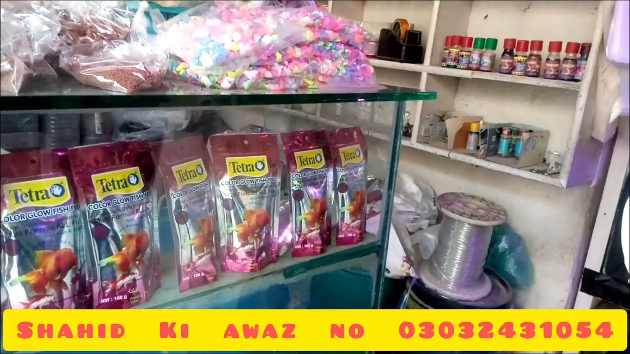 Shahid. Ki. Awaz. No  03032431054  V  D  O
