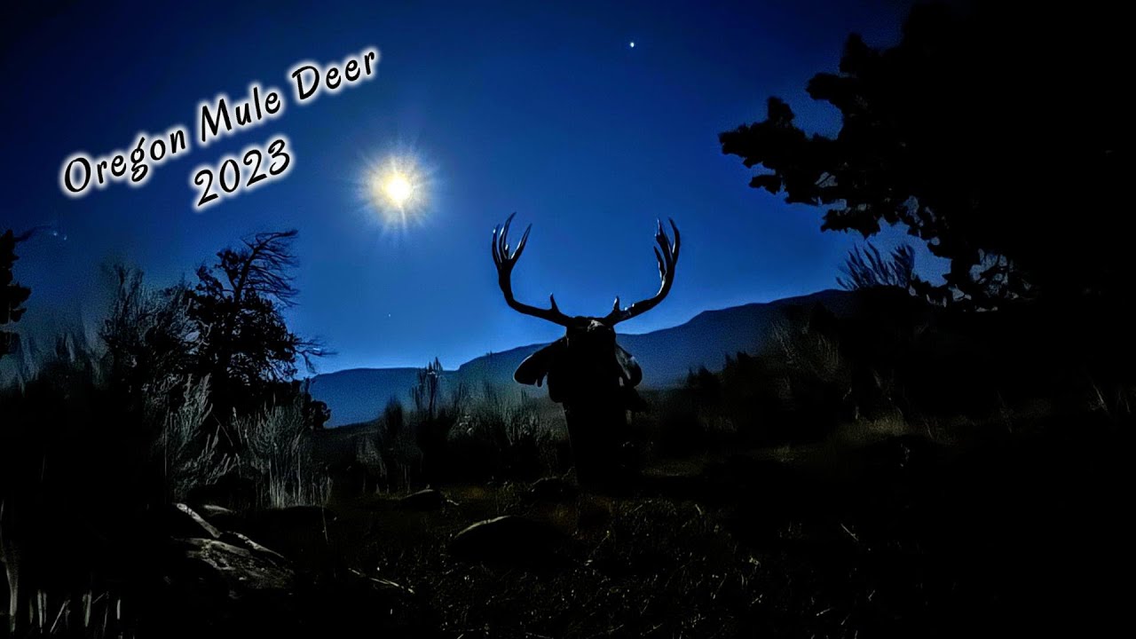 The Donnie story [Oregon mule deer hunt 2023 public land]