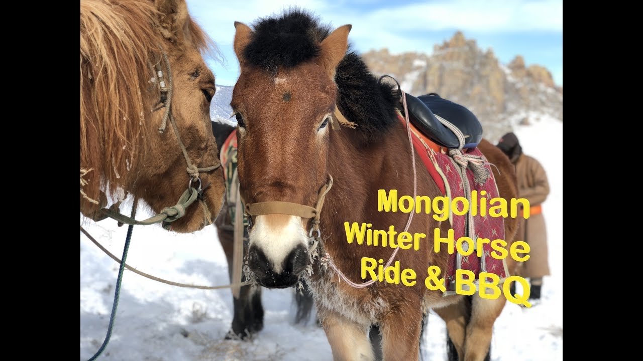 Mongolian Winter Horse Ride & BBQ