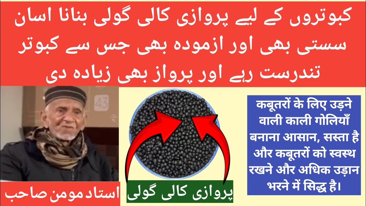 Makhan Ke Kamalal|Kali Parwazi Gholi Banany Ka Tarika Jis Se Pigeon Fit Rehta Ha