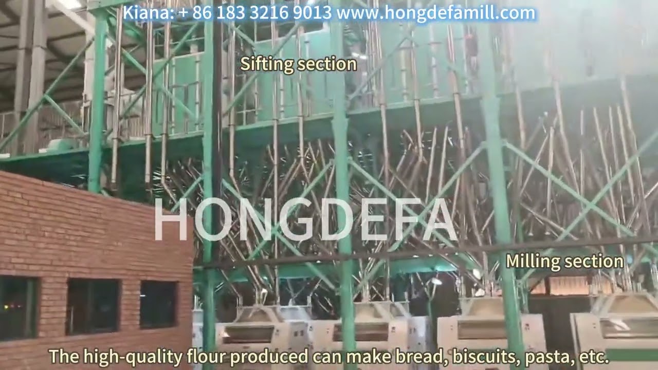 Hongdefa 200TPD Wheat Flour Mill Running Successfully in Zimbabwe | Modern Milling Solutions