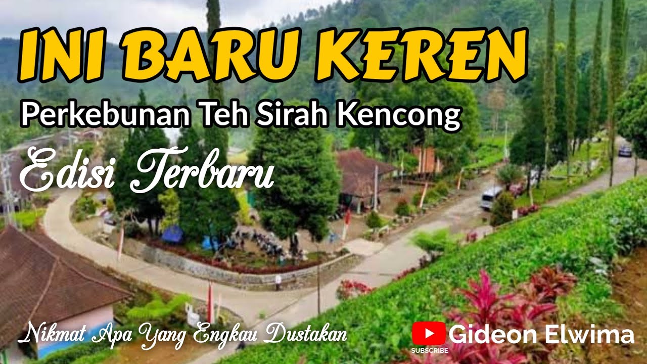 KEBUN TEH SIRAH KENCONG BLITAR | WISATA BLITAR TERBARU #sirahkencong #wisatablitar #wisataalam
