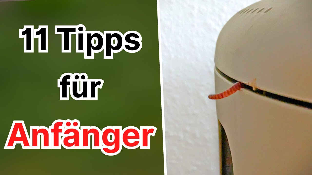 Wurmkompostierung - 11 Einsteiger Tipps