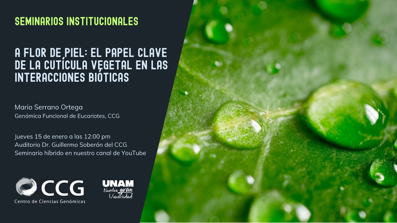 Seminario CCG: Dr. Mario Serrano. 15-enero-2026
