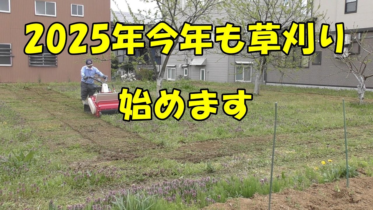 2025年今年も草刈りはじめます