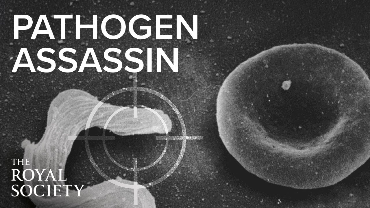 Pathogen assassin: a journey in microbiology | The Royal Society