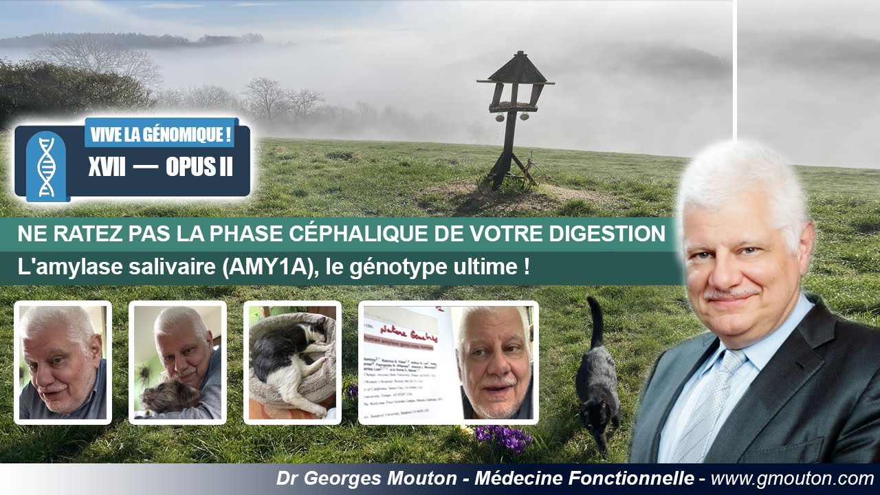NE RATEZ PAS LA PHASE CÉPHALIQUE DE VOTRE DIGESTION