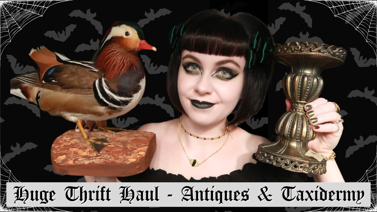 HUGE GOTH THRIFT HAUL | Taxidermy, Antiques, Gothic Home Decor & Edgar Allan Poe Books
