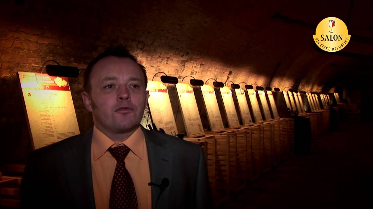 Salon vin 2012 - kr&aacute;tk&yacute; přehled