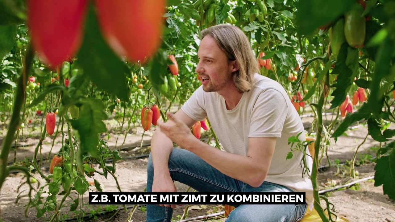 REAL PEOPLE - Gr&uuml;nder Tom - Story