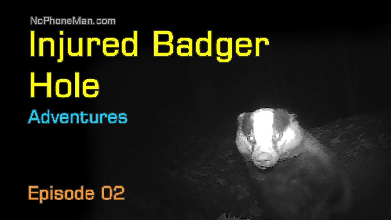 Injured Badger Hole Adventures - Episode 02