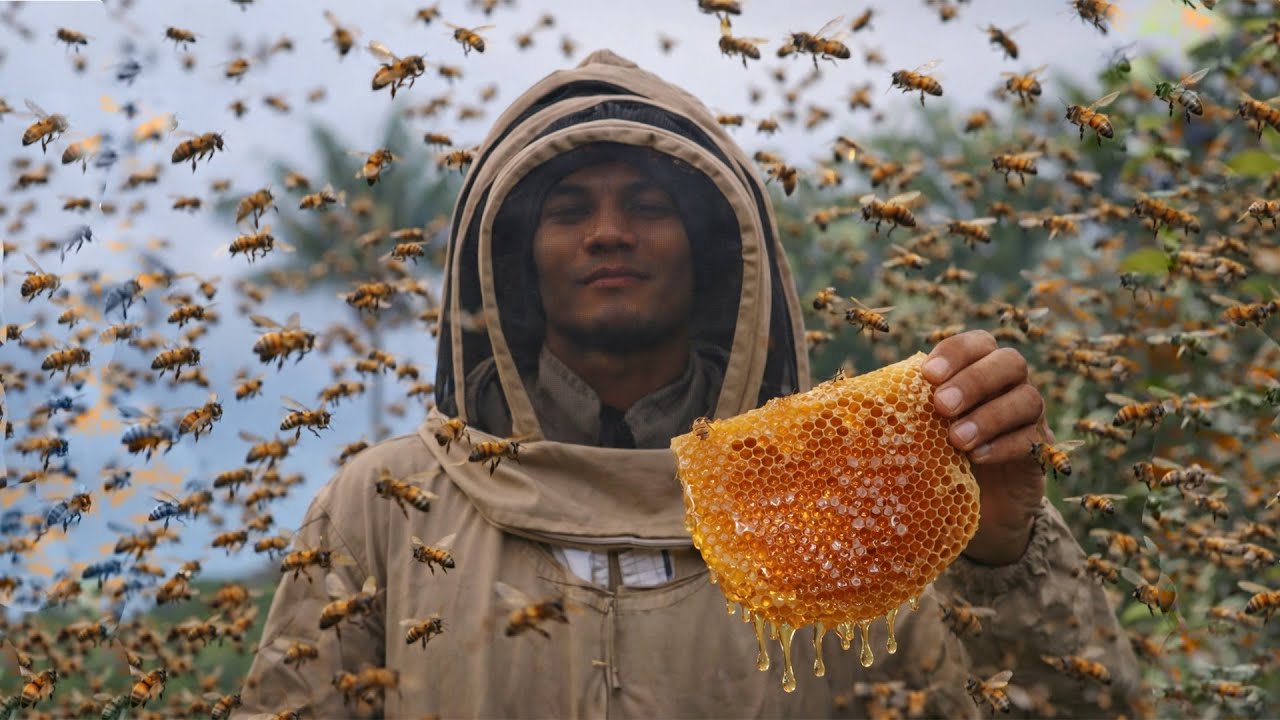 Apicultura🐝| El MUNDO de las Abejas y el SECRETO del Panal | Documental