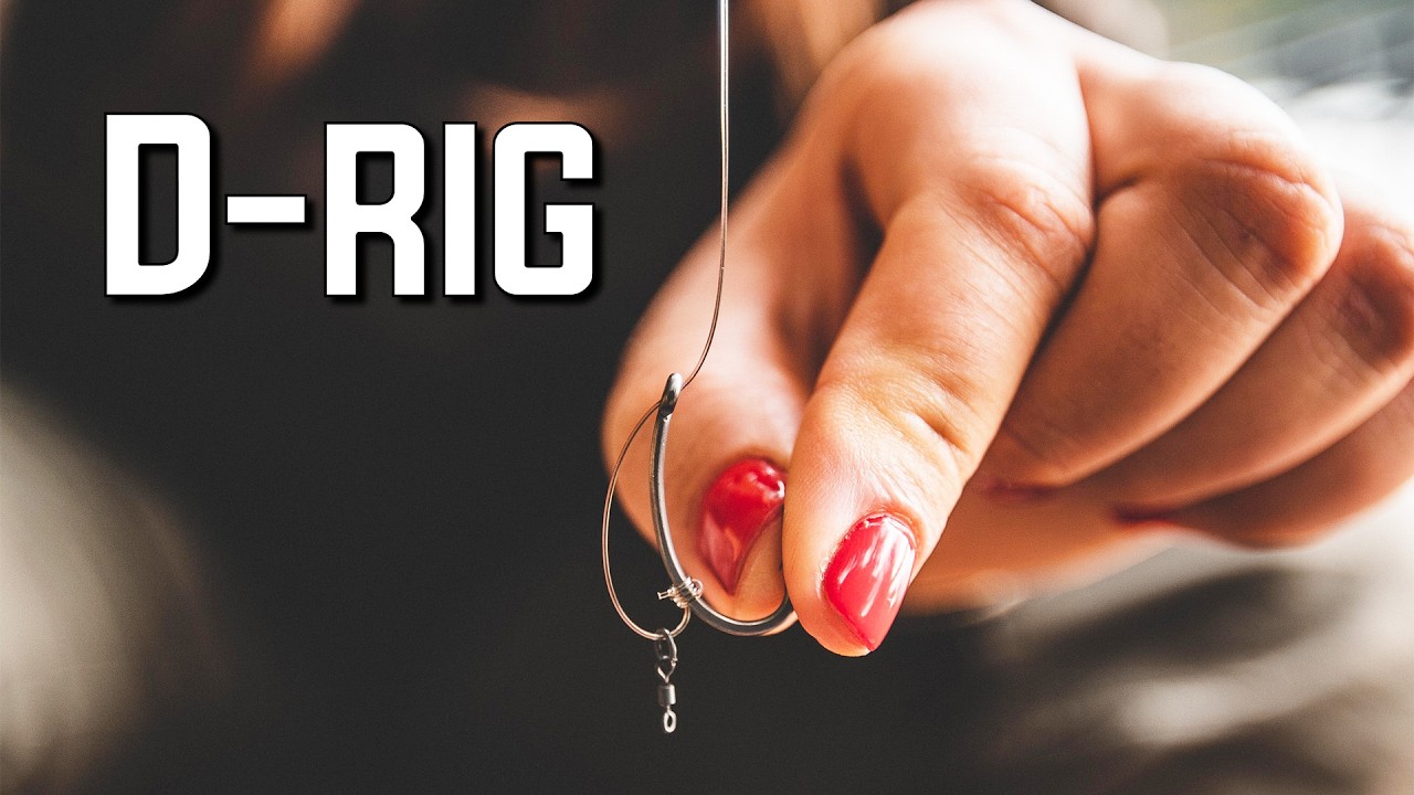 D-RIG - Ez akad!