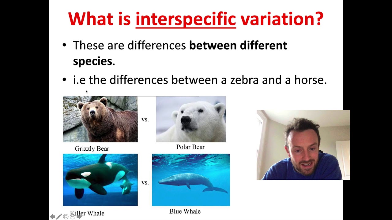 Variation - Causes and Types (OCR A Level Biology 4.3.6)